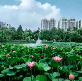 绮帷小姨的公开头像