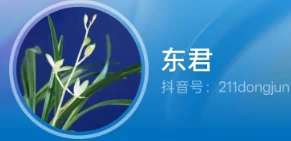 东君的公开头像